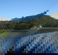 Yalwal - Tweed Heads Accommodation