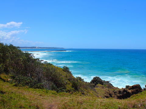 Bare Point - Tweed Heads Accommodation 1