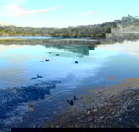Berrara Creek - Tweed Heads Accommodation