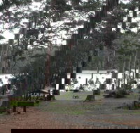 Big Brook Arboretum - Tweed Heads Accommodation