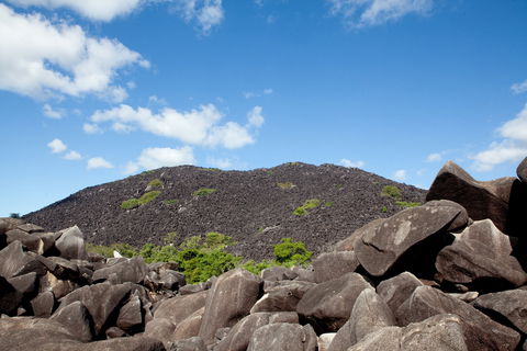Black Mountain (Kalkajaka) National Park - Tweed Heads Accommodation 0