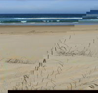 Bongil Beach - Tweed Heads Accommodation