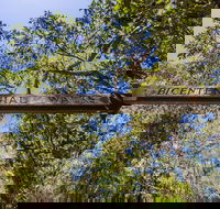 Bribie Island Bicentennial Trails - Tweed Heads Accommodation