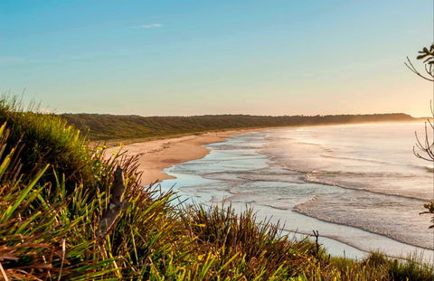 Burrawang Track - Conjola Beach To Buckleys Point - Tweed Heads Accommodation 0