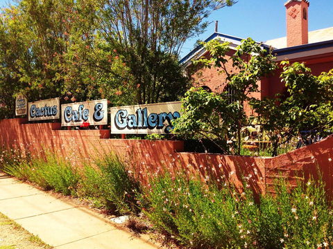 Cactus Cafe And Gallery - Tweed Heads Accommodation 0