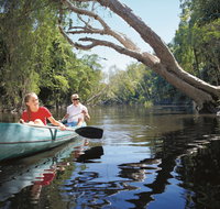 Capricorn Region - Tweed Heads Accommodation