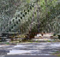 Goonoowigall State Conservation Area - Tweed Heads Accommodation
