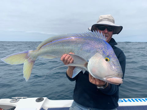 GT Fishing Charters - Tweed Heads Accommodation 1