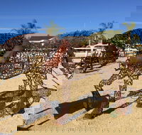 Gundersen Reserve - Tweed Heads Accommodation