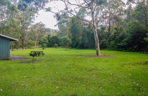 Haynes Flat Picnic Area - Tweed Heads Accommodation 0