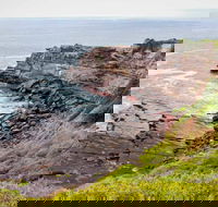Haycock Point to Barmouth Beach Walking Track - Tweed Heads Accommodation