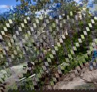 Herring Island Environmental Sculpture Park - Tweed Heads Accommodation
