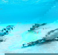 Jurien Bay - Tweed Heads Accommodation