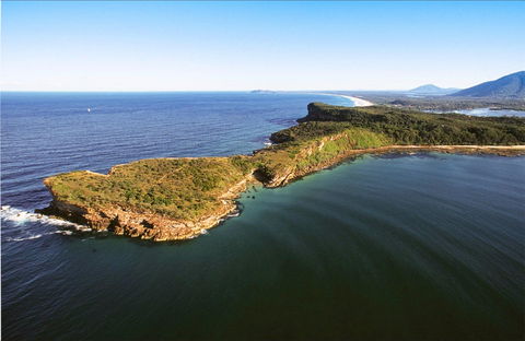 Kattang Nature Reserve - Tweed Heads Accommodation 0