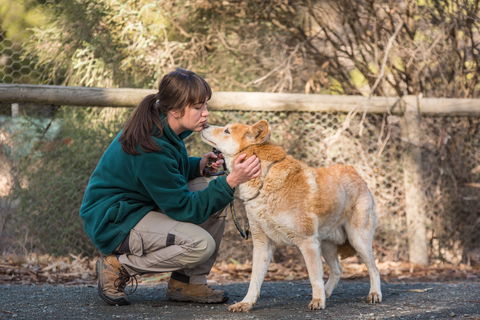 Kyabram Fauna Park - Tweed Heads Accommodation 1