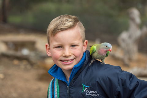 Kyabram Fauna Park - Tweed Heads Accommodation 2