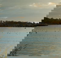Lake Inverell Reserve - Tweed Heads Accommodation