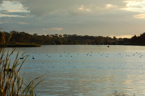 Lake Inverell Reserve - Tweed Heads Accommodation 0