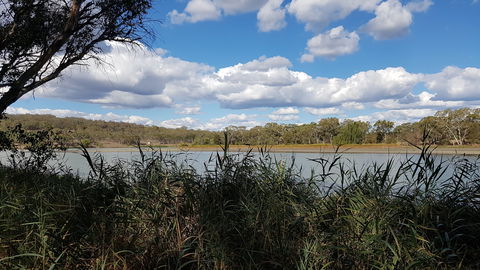 Lake Inverell Reserve - Tweed Heads Accommodation 1