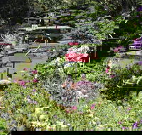 Launceston Gorge Scenic Chairlift - Tweed Heads Accommodation