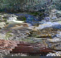 Liffey Falls Reserve - Tweed Heads Accommodation