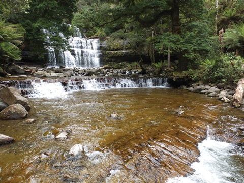 Liffey Falls Reserve - Tweed Heads Accommodation 1