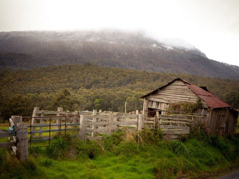 Liffey Falls Reserve - Tweed Heads Accommodation 2