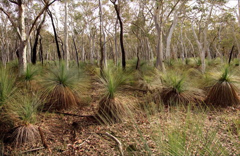 Livingstone National Park - Tweed Heads Accommodation 0