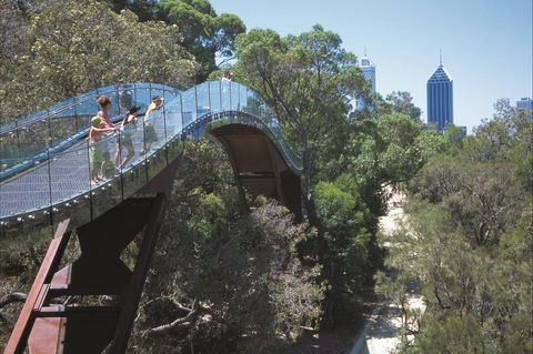 Lotterywest Federation Walkway - Kings Park - Tweed Heads Accommodation 1