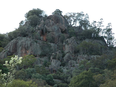 Mount Yarrowyck Nature Reserve - Tweed Heads Accommodation 0