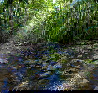 Nambucca Valley - Tweed Heads Accommodation