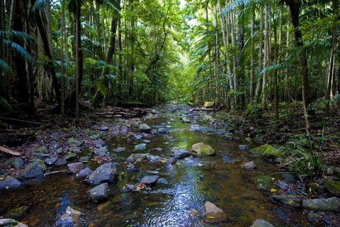 Nambucca Valley - Tweed Heads Accommodation 0