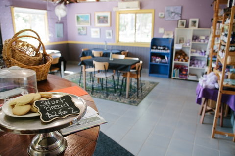 Nannup Lavender Farm - Tweed Heads Accommodation 0