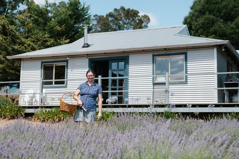 Nannup Lavender Farm - Tweed Heads Accommodation 1