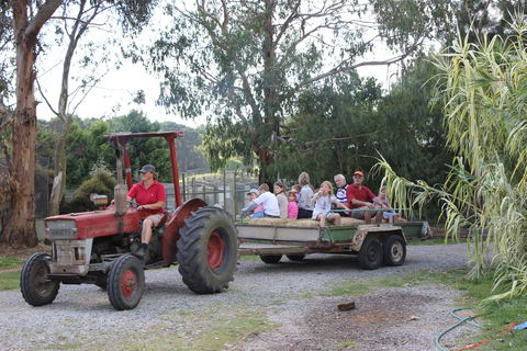Rain Hayne And Shine Farmyard - Tweed Heads Accommodation 1