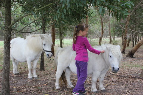 Rain Hayne And Shine Farmyard - Tweed Heads Accommodation 2