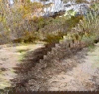 Red Rocks trig walking track - Tweed Heads Accommodation