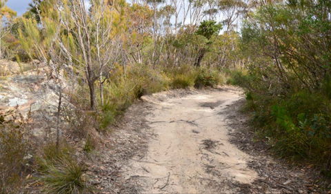 Red Rocks Trig Walking Track - Tweed Heads Accommodation 0
