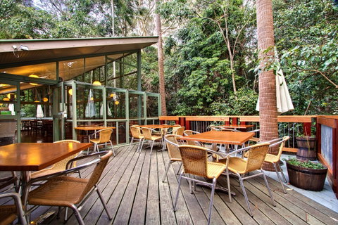 Sea Acres Rainforest Centre - Tweed Heads Accommodation 2
