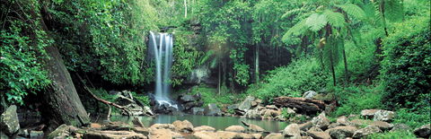 Tamborine National Park - Tweed Heads Accommodation 0