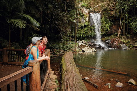 Tamborine National Park - Tweed Heads Accommodation 1