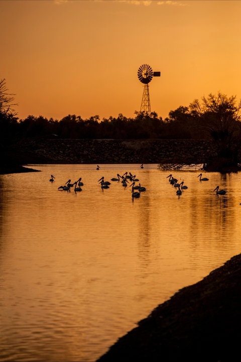 Thomson River, Longreach - Tweed Heads Accommodation 2