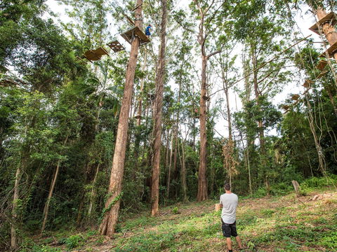 TreeTop Challenge - Sunshine Coast - Tweed Heads Accommodation 1