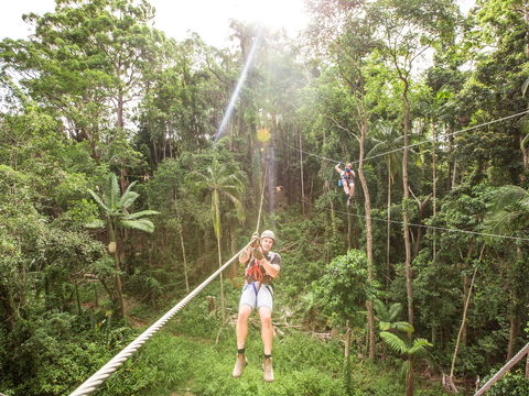 TreeTop Challenge - Sunshine Coast - Tweed Heads Accommodation 2