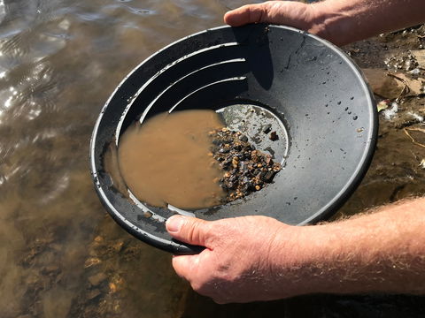 Tuena Panning For Gold - Tweed Heads Accommodation 0
