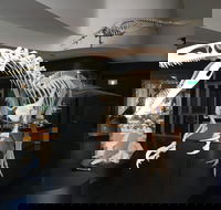 UNE Natural History Museum - Tweed Heads Accommodation