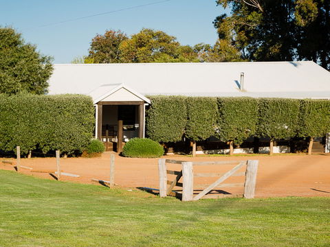 Vasse Virgin - Tweed Heads Accommodation 1