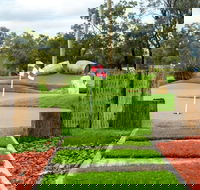 Vines Mini Golf - Tweed Heads Accommodation