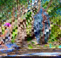 Wagirra Trail and Yindyamarra Sculpture Walk - Tweed Heads Accommodation