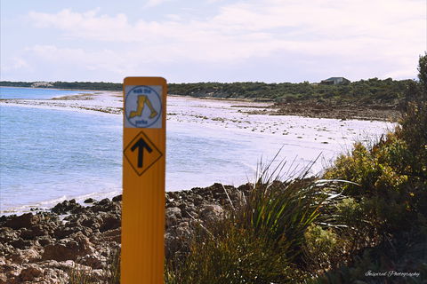 Walk The Yorke Trail - Tweed Heads Accommodation 2
